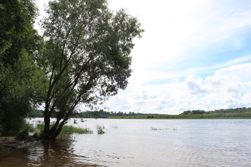 Слава Виноградов | Санкт-Петербург