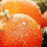 Светлана Чайкина (¯`'•.¸*♥♥♥♥*¸.•'´¯) | Санкт-Петербург