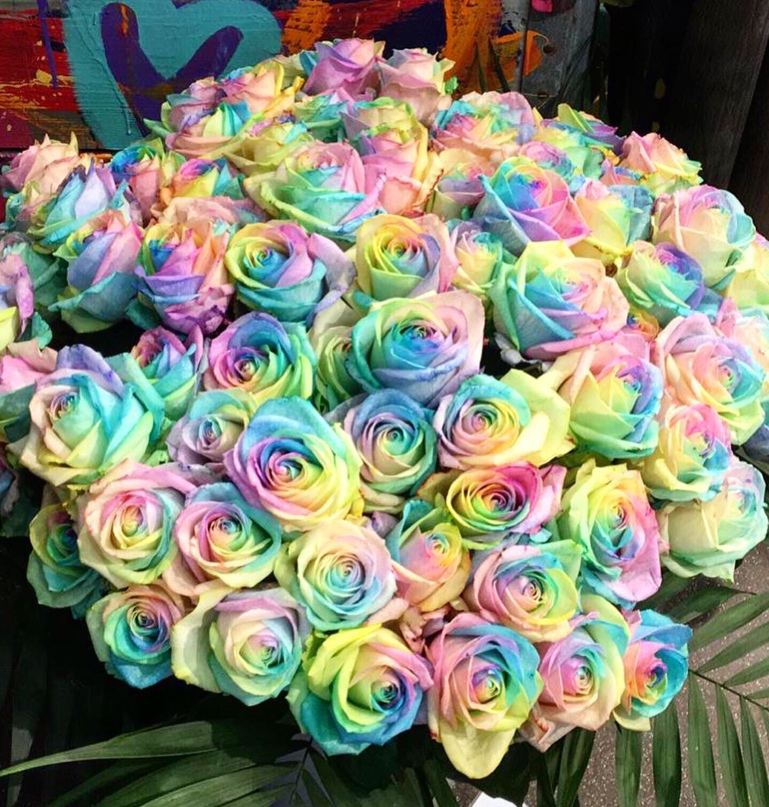 Ольга Рузанкина | Haarlem