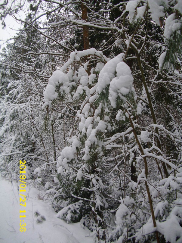 Виктор Рубцов | Калининград