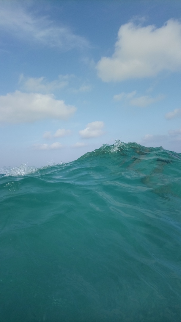 Юлия Пащенко | Липецк