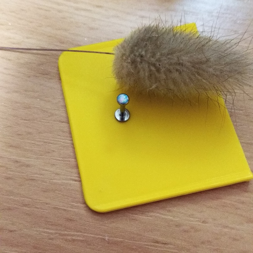 Елизавета Островская | Минск