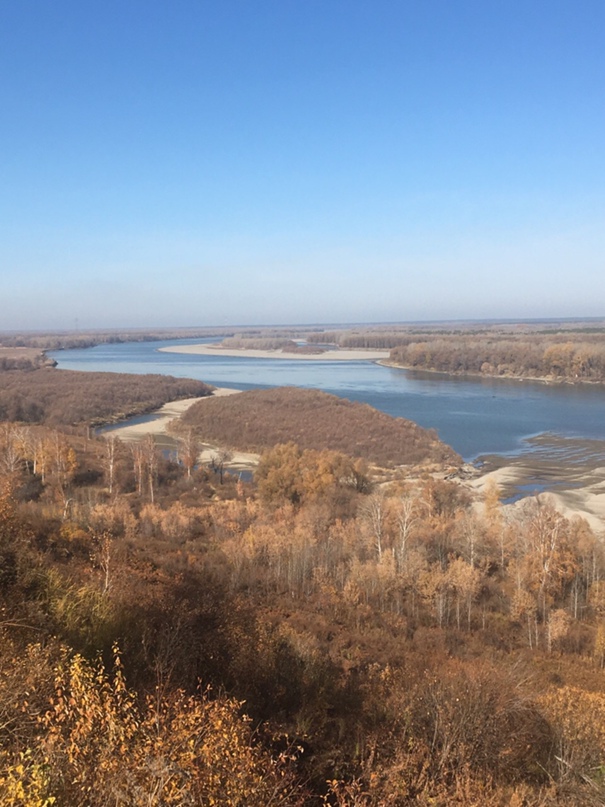 Елена Шипилина | Барнаул
