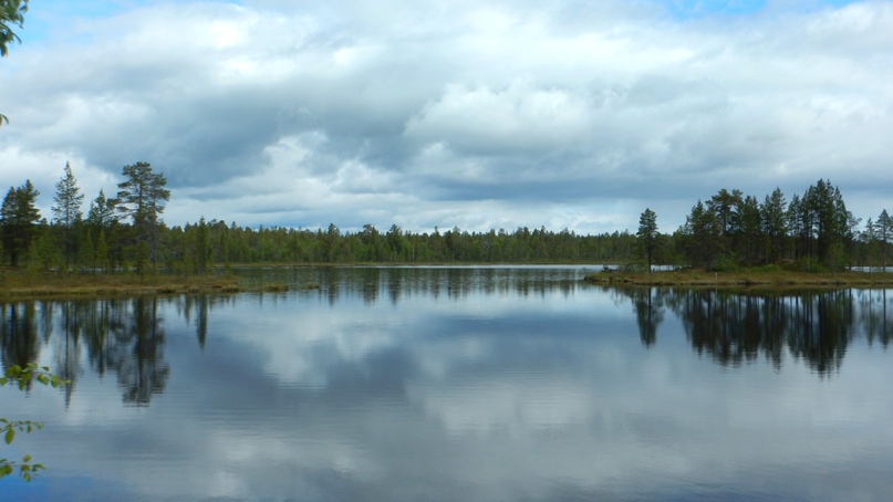 Татьяна Первушина | Архангельск