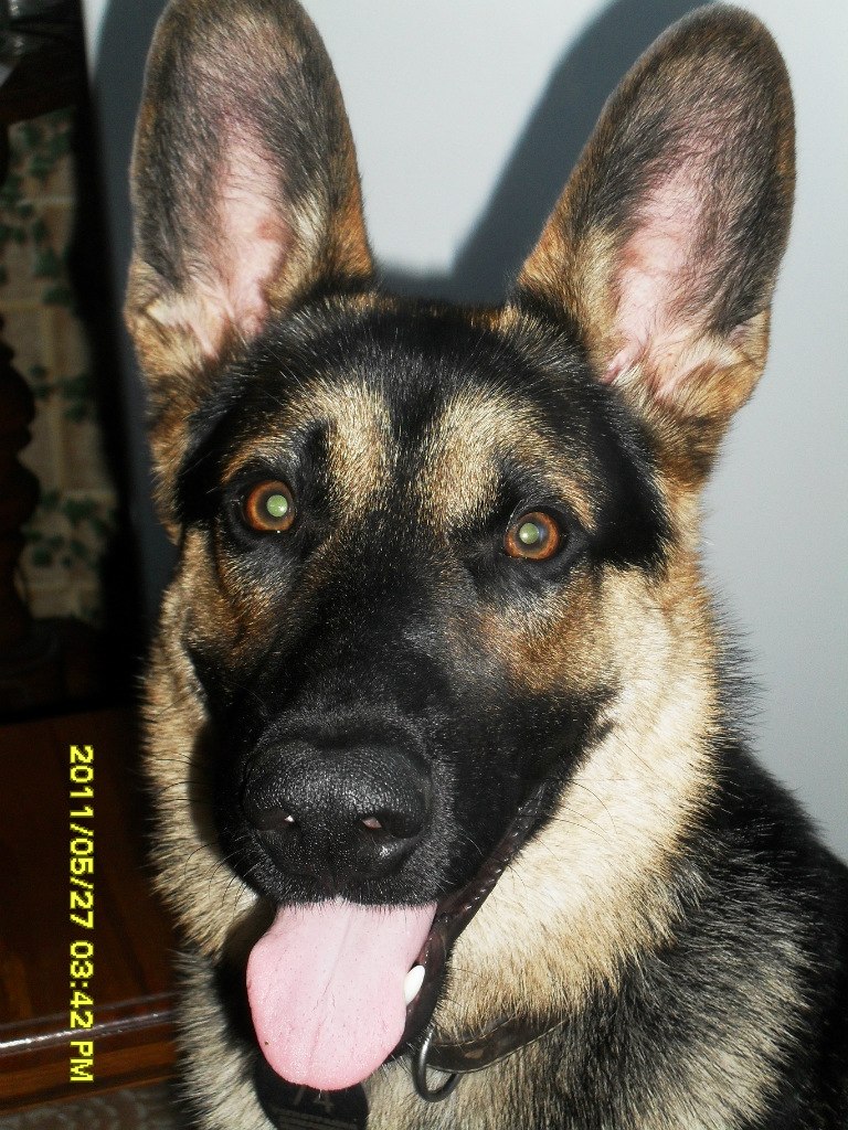 Виталий Киселёв | Могилёв