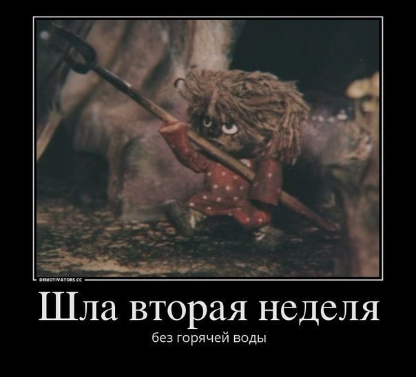 Александр Шеховцов | Воронеж