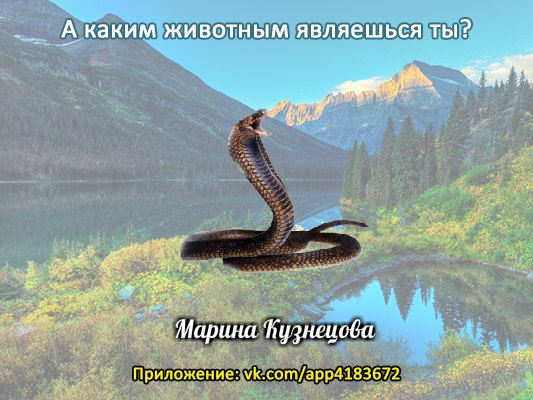 Марина Кабанова | Самара