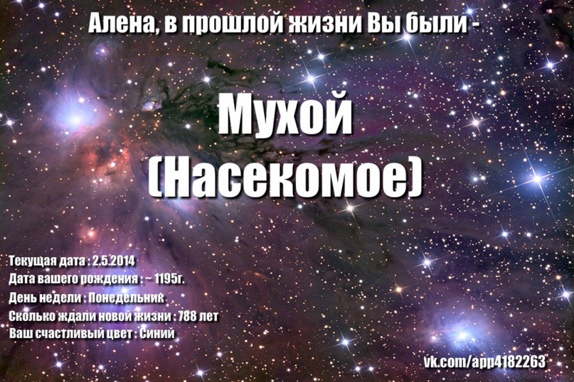 Алёна Шишова | Санкт-Петербург