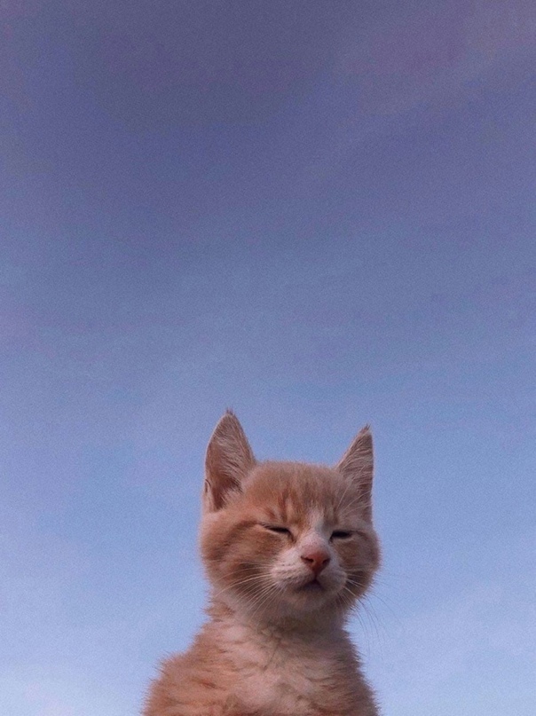 Екатерина Суркова | Лысьва