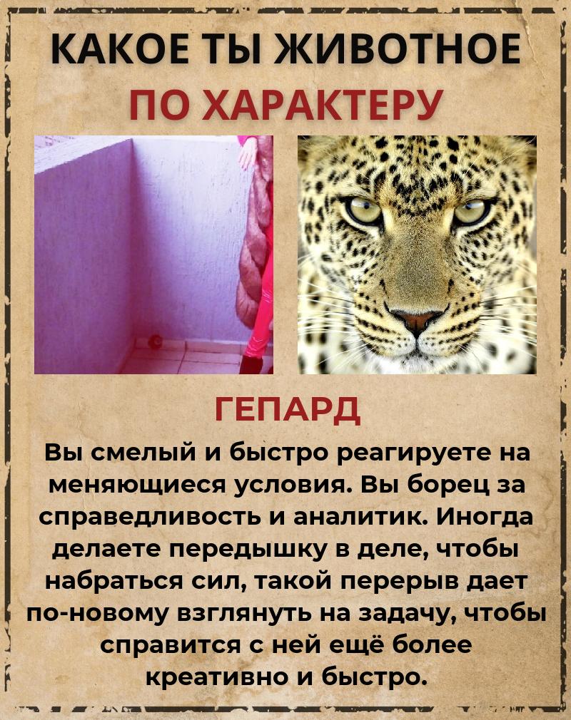 Алёна Терехова | Новороссийск