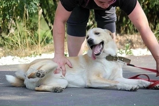 ?Егорьевск Московской области??По весне с улицы...