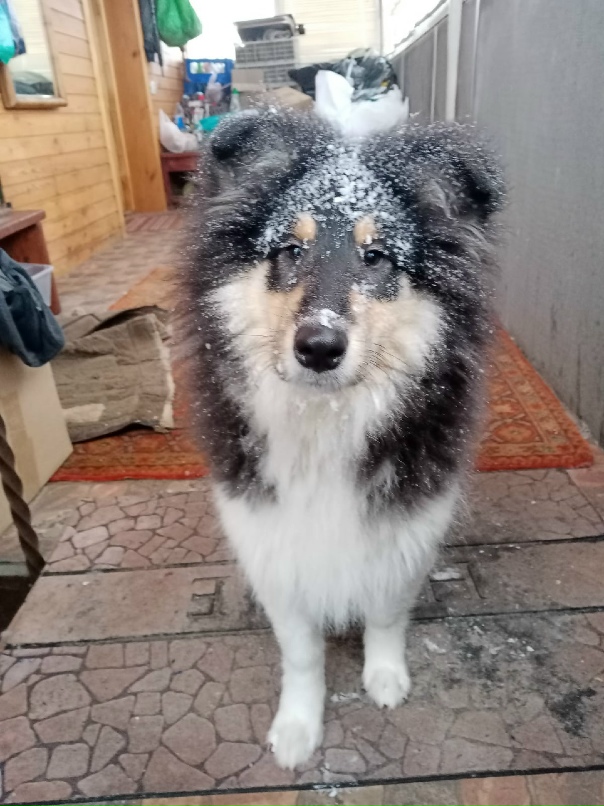 Anna Semenova | Урюпинск