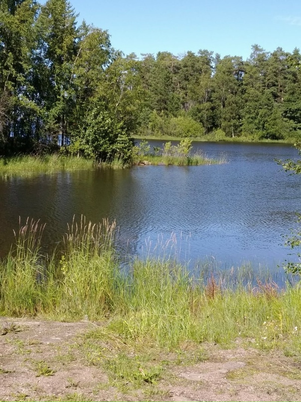 Любовь Ермолаева | Санкт-Петербург