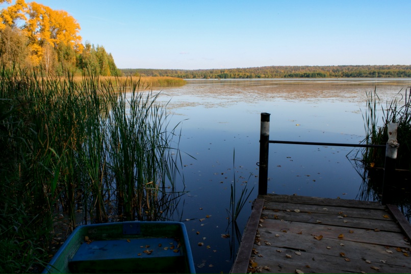 Анна Ермолаева | Ижевск