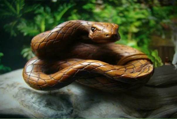 Wooden snake stock photo. Image of knickknack, carve, false - 9214822
