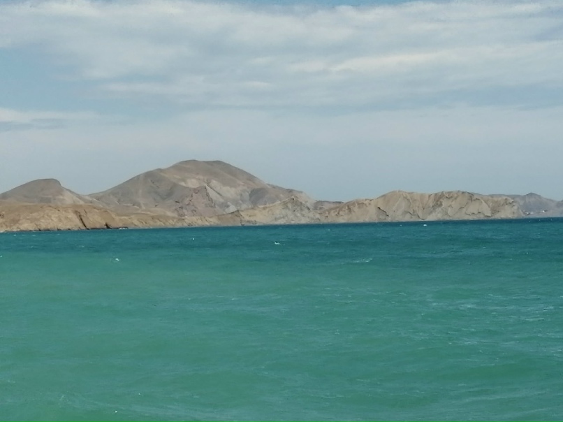 Елена Чеснокова | Санкт-Петербург