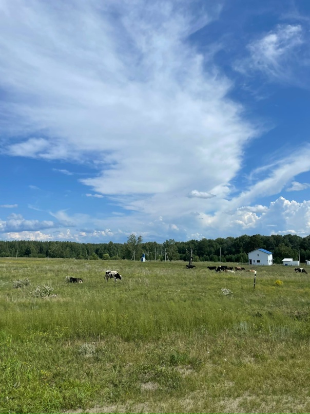 Екатерина Антонова | Новосибирск