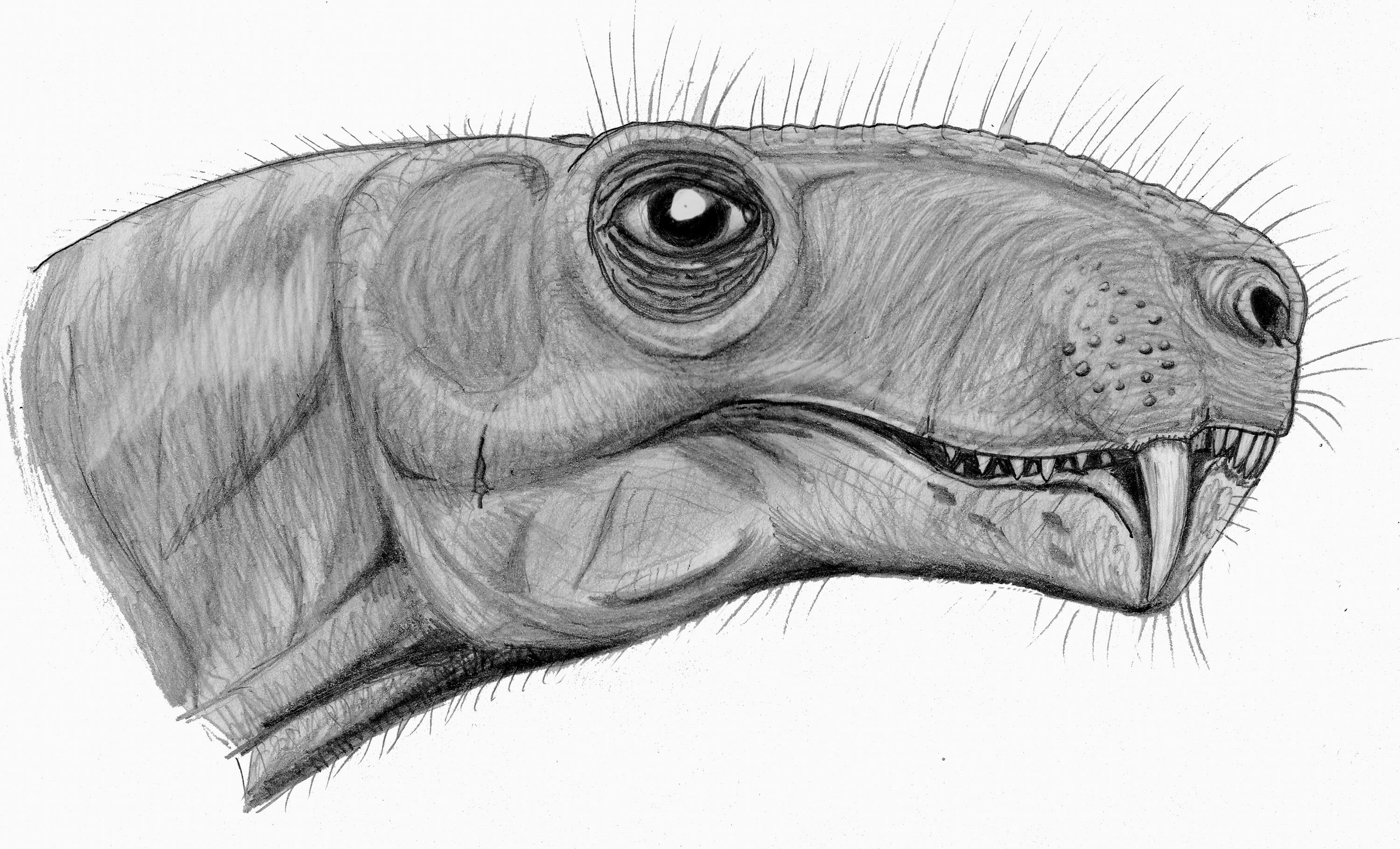 cWYyQpxknCM.jpg?size=2560x1553&quality=96&proxy=1&sign=47211c0ac3c06ab3be0d27be9758b9ed