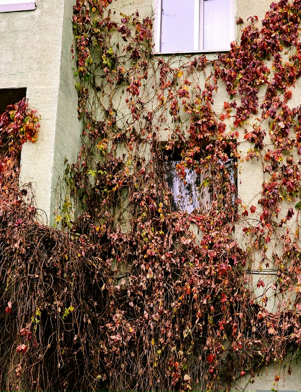 Дарья Рузаева | Саранск