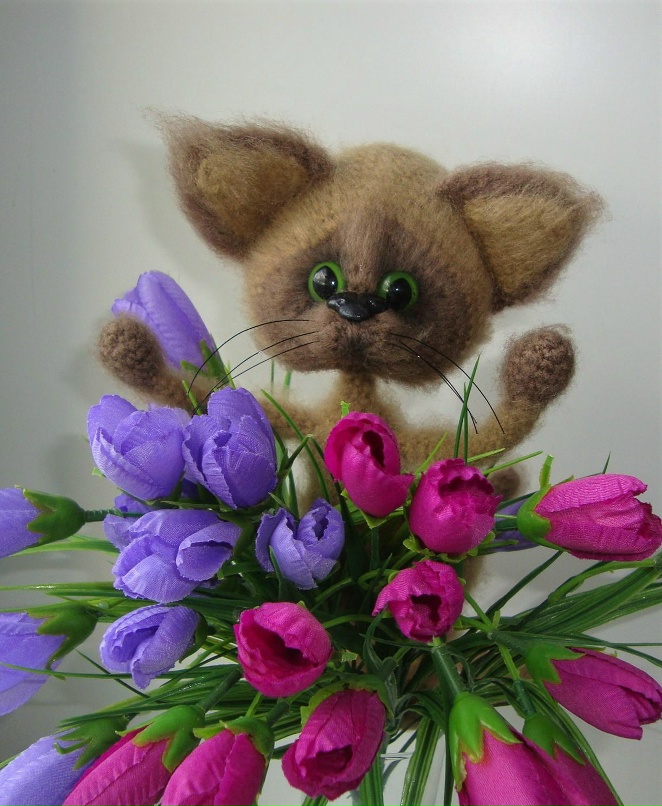 Елена Швед | Омск