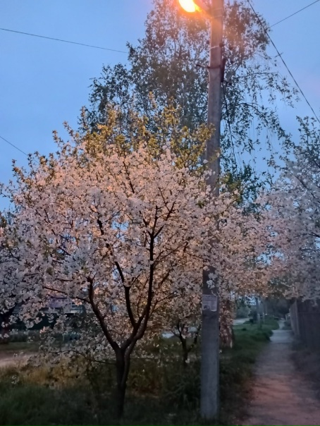 Вечерний Абинск?