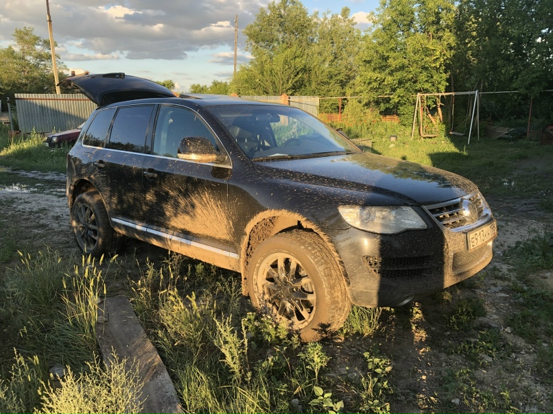 Сергей Пушкарёв серый-меДвед | Воркута