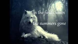 Celtic Woman - The Voice Lyrics