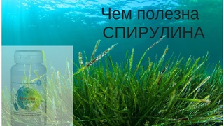 Чем ПОЛЕЗНА спирулина
