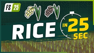 Rice in 25 Seconds | Farming Simulator 25