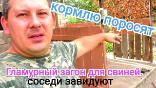 Сделали загон для свиней, накрыли навес над загоном.