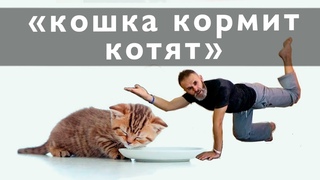 Двигательные задачки для здоровья вашего тела и психики.