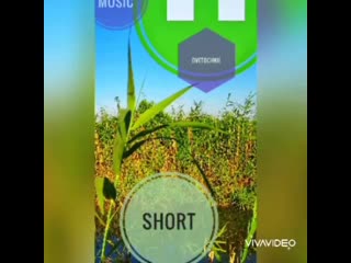 DVETOCHKII-Short ..