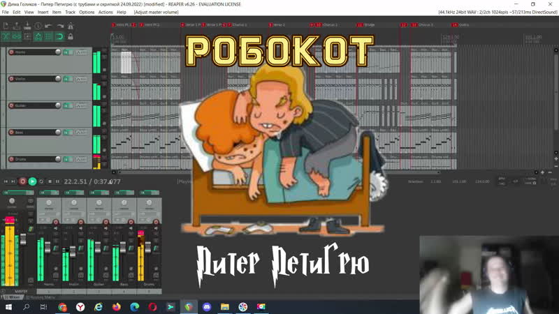 РОБОКОТ Питер Петигрю (demo