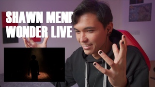 BUSKER REACTS TO SHAWN MENDES ON JIMMY FALLON: intro/wonder