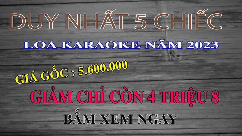 Loa karaoke xách tay giá rẻ, Best Lux 16 V, Điện Máy