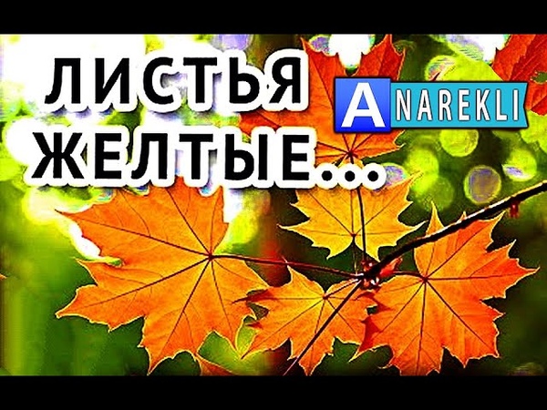 самоцветы листья желтые над. листья жёлтые над городом кружатся караоке. листья жёлтые самоцветы 1978. самоцветы листья желтые над. самоцветы листья желтые над.