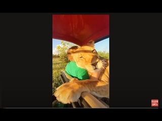 Сумасшедшее видео! ЛИВИЦА ОБНИМАЕТ ЧЕЛОВЕКА!#shorts