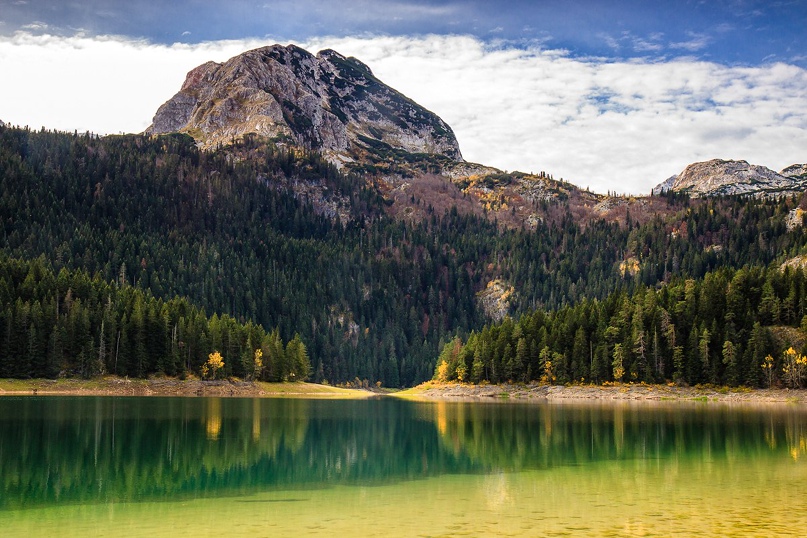 Сергей Симонян |