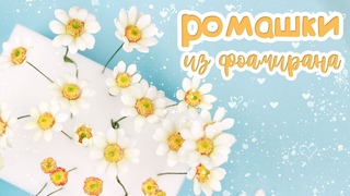 Маленькие ромашки из фоамирана/ Цветы своими руками/ Закулисье 33.1/ foamiran daisy