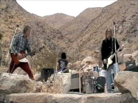 Dalis Llama Raw Is