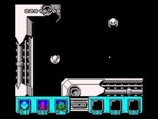 Anaconda Walkthrough, ZX Spectrum