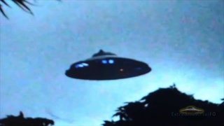 Reptilian flying saucer ? / Рептильная летающая тарелка ?