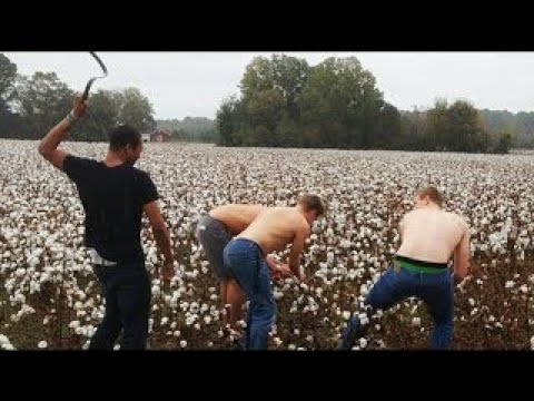 UNEXPECTED MEMES COMPILATION,