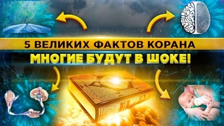 А ВЫ ЗНАЛИ ЭТО О КОРАНЕ? ШОКИРУЮЩИЕ ФАКТЫ  КОРАНА /КОРАН И ФАКТЫ /5 ФАКТОВ ИЗ КОРАНА