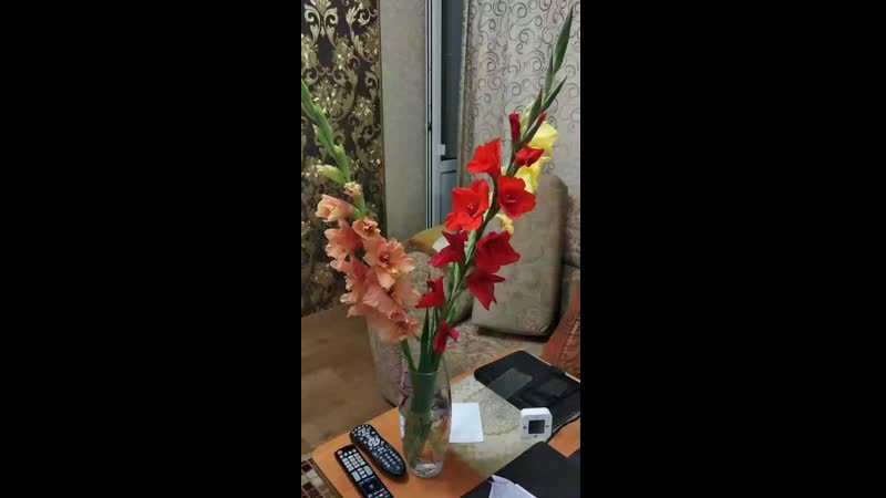 VID_20200825_210203.mp4