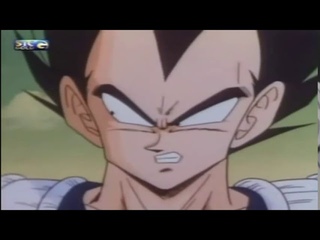 Vegeta olha bem