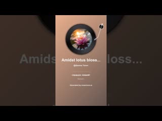 Amidst lotus blossoms  6