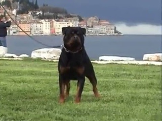 Cliff von der Raspeburg