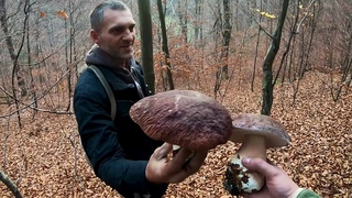 Білі Гриби, Боровики / Карпати / Mushroom Cep / Збираєм в самісінькому Geographical Center of Europe