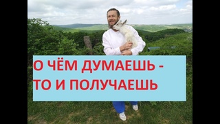 НАЙДИ ДОСТОИНСТВА ДРУГ в ДРУГЕ и ОНИ УМНОЖАТСЯ